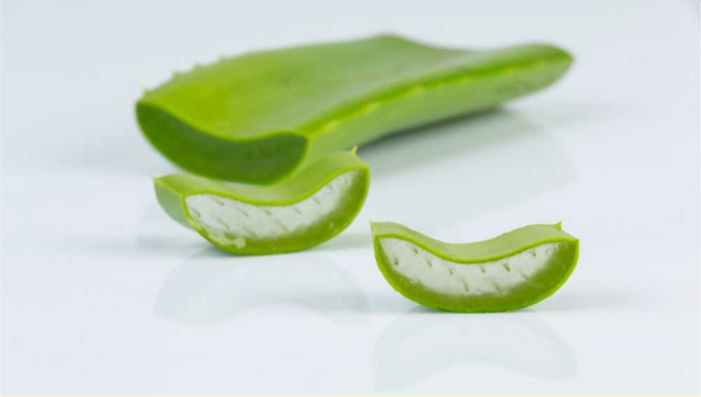 Gel nha đam làm dịu da đầu, kiểm soát bã nhờn.
